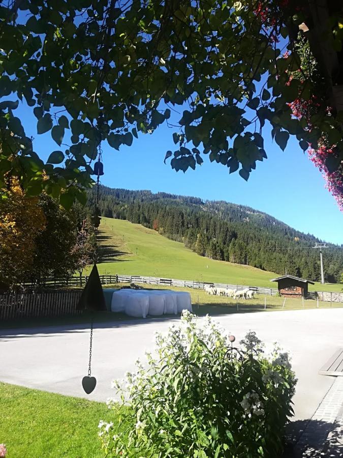 Walchauhof Hotell Flachau Eksteriør bilde