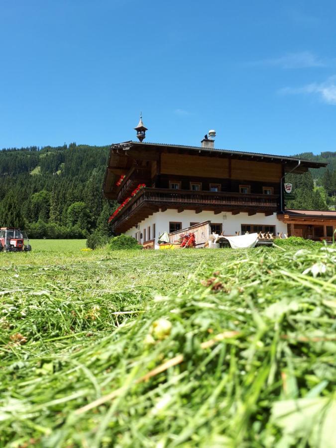 Walchauhof Hotell Flachau Eksteriør bilde