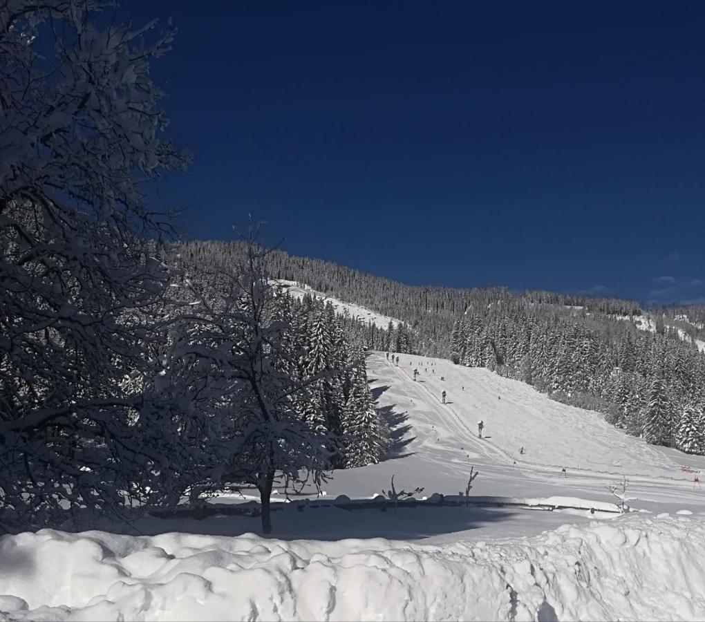 Walchauhof Hotell Flachau Eksteriør bilde