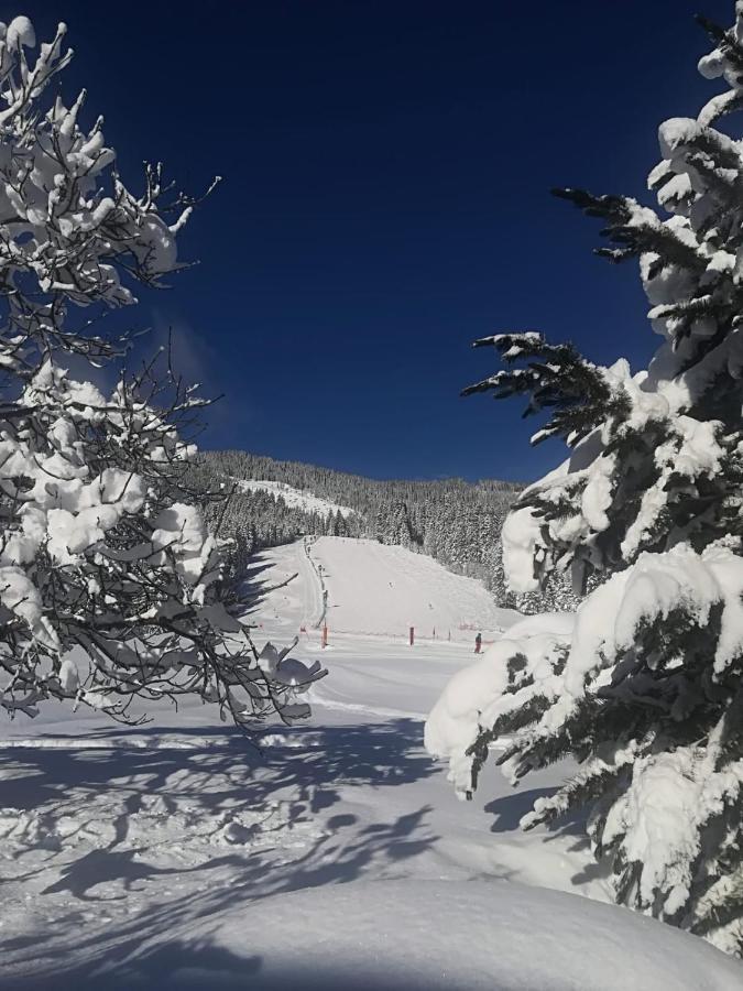 Walchauhof Hotell Flachau Eksteriør bilde